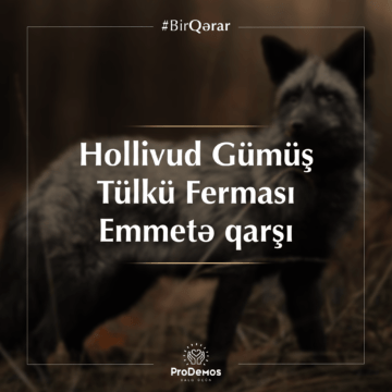 Hollivud Gümüş Tülkü Ferması / Emmetə qarşı