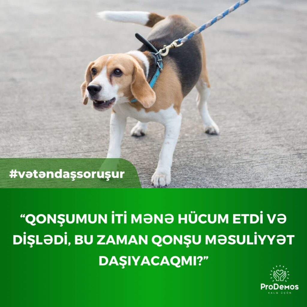 Qonsumun iti mene hucum etdi ve disledi bu zaman qonsu mesuliyyet dasiyacaqmi